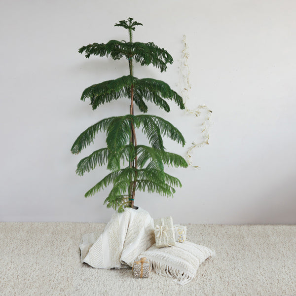 Round Woven Cotton & Fabric Blend Striped Tree Skirt with Embroidery & Ties