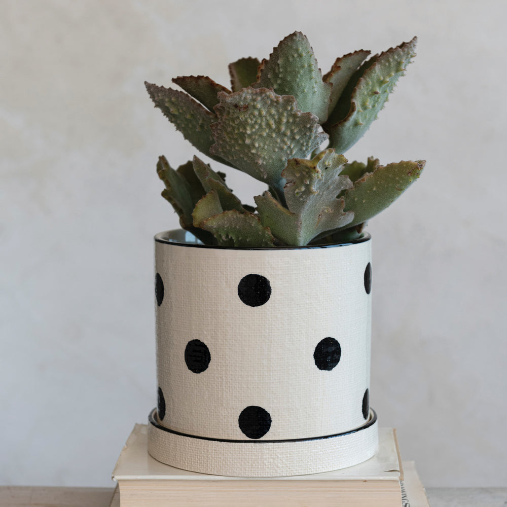Hand-Painted Stoneware Planter w/ Dots