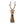 Deer Head with Carved Wood Finish