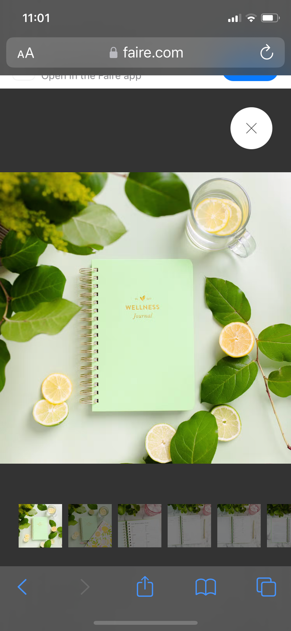 Wellness Journal