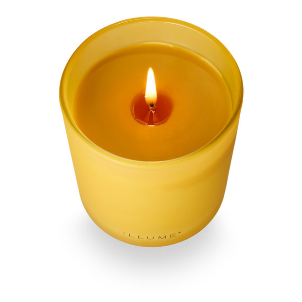 Rhubarb Honey Refillable Boxed Glass Candle