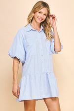 Blue Stripe Buttondown Mini Dress