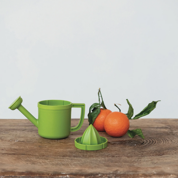 Plastic Watering Can Shaped Juicer/Pitcher, Green
