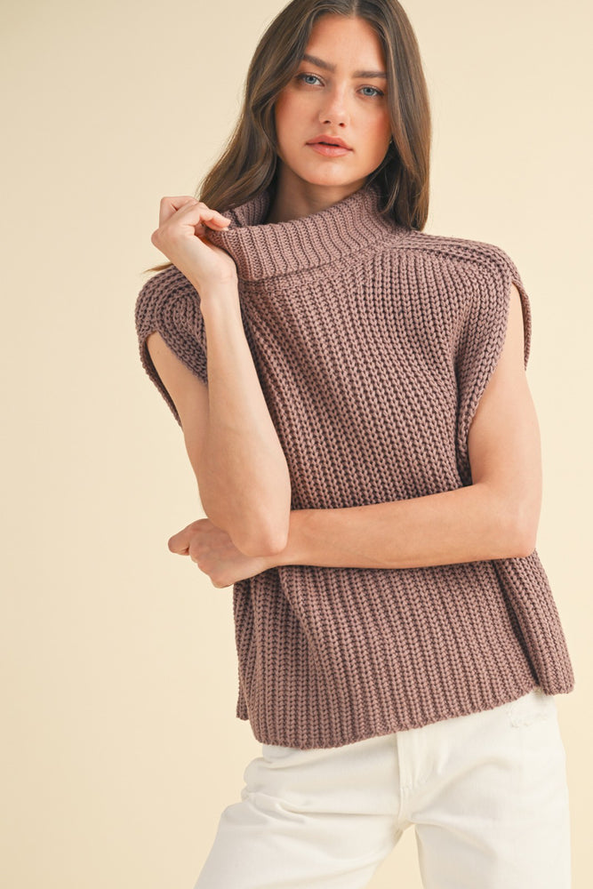 Red Bean Turtleneck Sweater Top