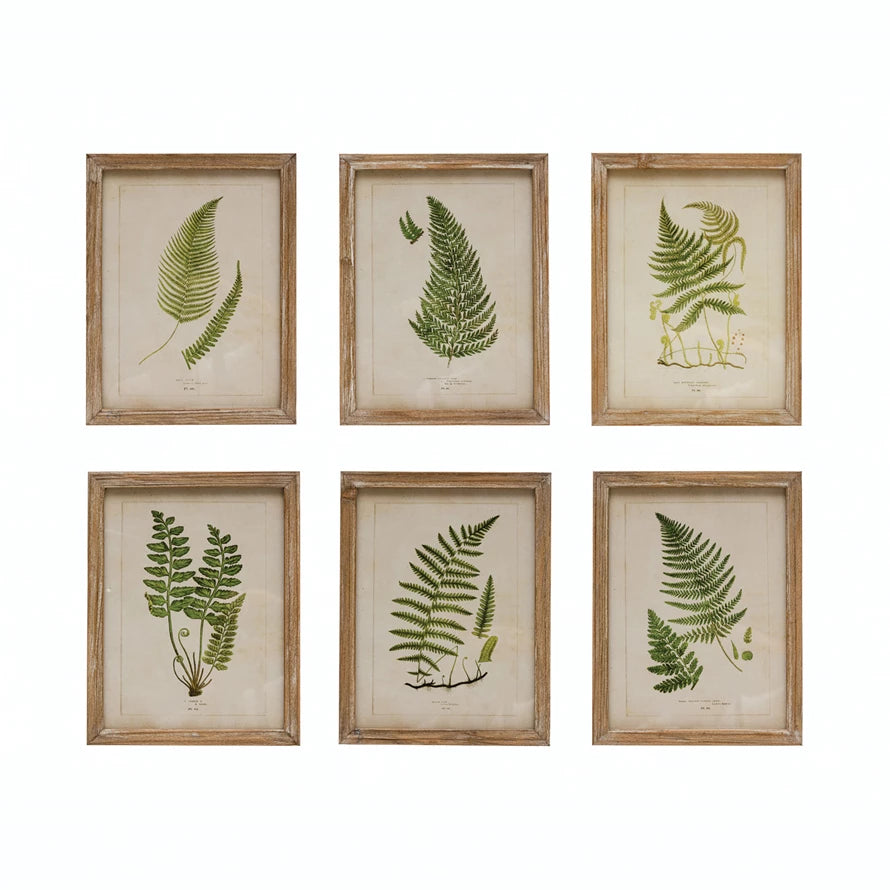 Wood Framed Glass Wall Décor with Fern Fronds Image