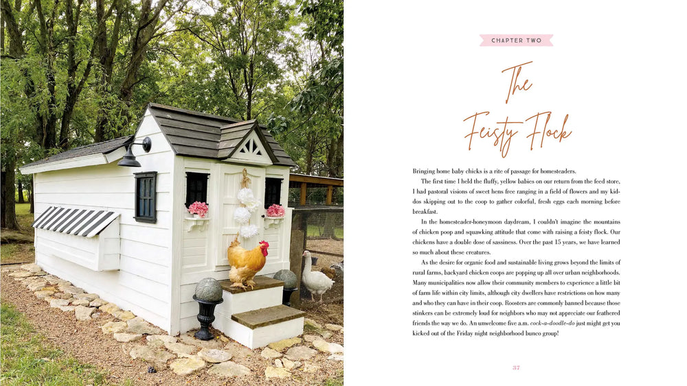 The Grace-Filled Homestead, Book - Home