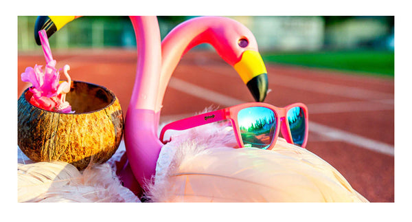 FLAMINGOS ON A BOOZE CRUISE