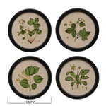 Framed Wall Decor with Botanical Print, 4 Styles