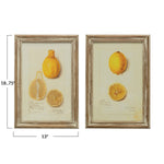 Wood Framed Glass Wall Décor w/ Vintage Reproduction Lemons
